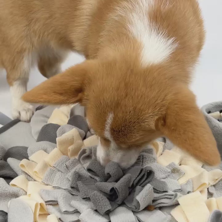 Charger la vidéo : 